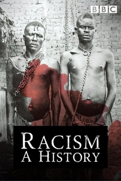 История расизма (2007)
