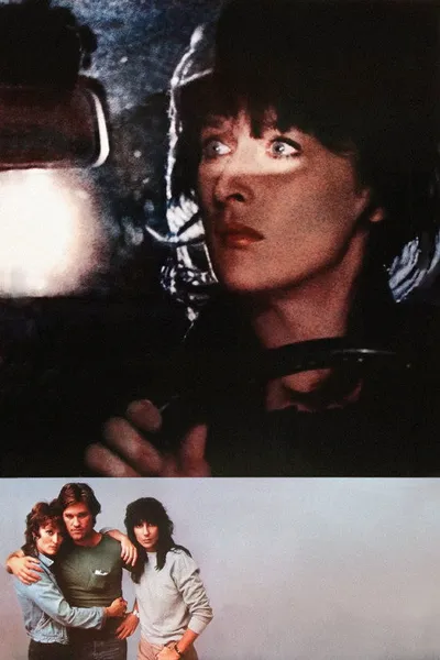 Силквуд (1983)