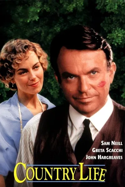 Провинциальный роман (1994)
