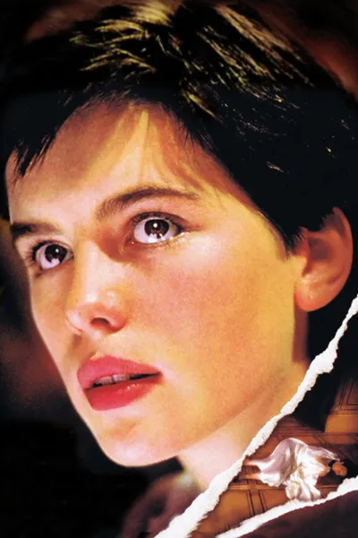 Фламандская доска (1994)