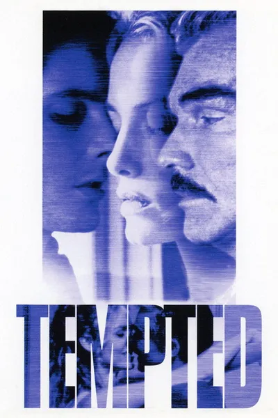 Соблазнитель (2001)