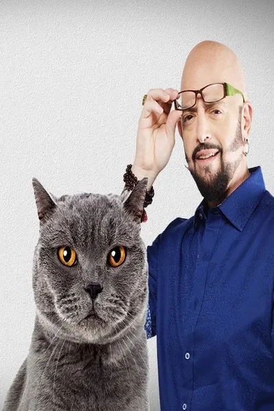 Адская кошка (2011)