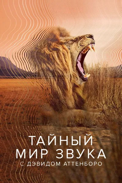 Тайный мир звуков с Дэвидом Аттенборо (2024)