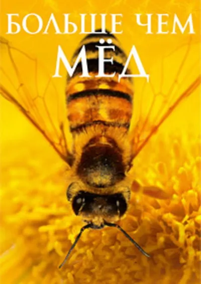 Больше чем мед (2012)