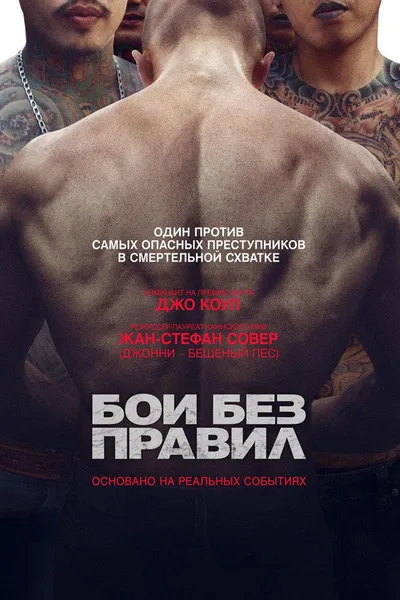 Бои без правил (2017)