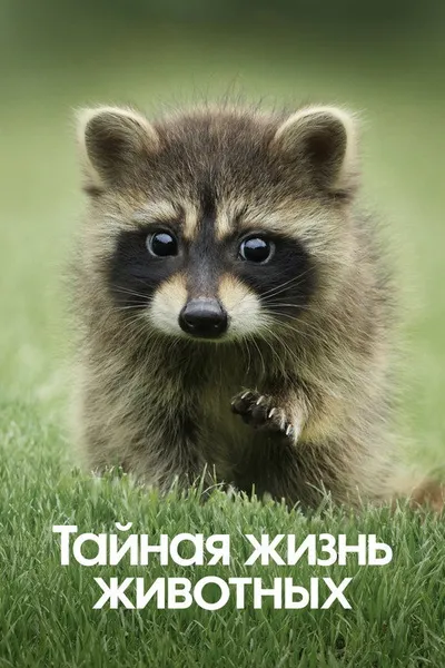 Тайная жизнь животных (2024)