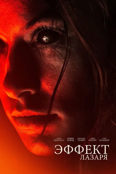 Эффект Лазаря (2013)
