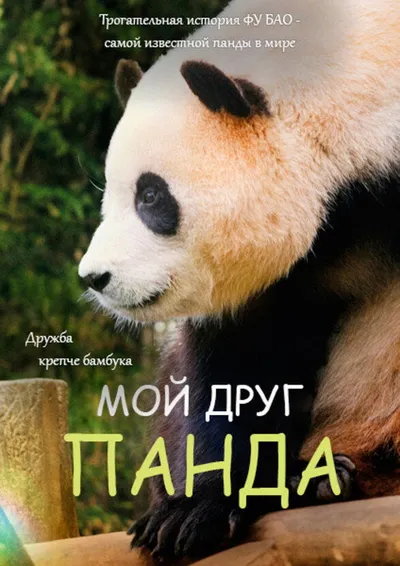 Мой друг панда (2024)