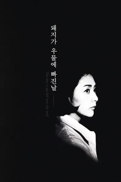 День, когда свинья упала в колодец (1996)