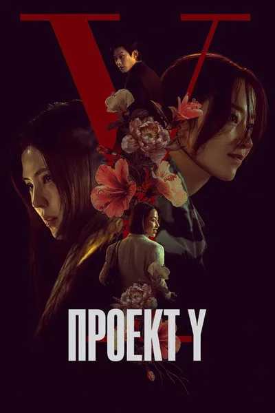Проект Y (2025)