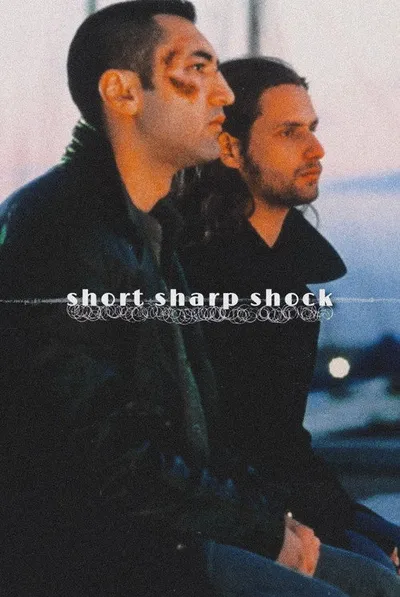 Быстро и без боли (1998)