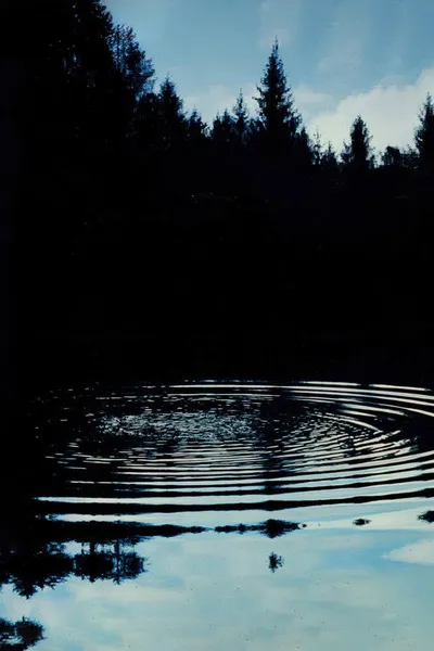 Реванш (2008)