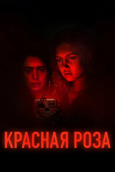 Красная роза (2022)