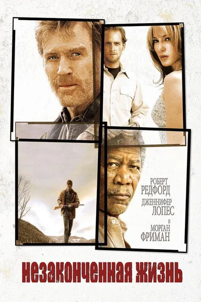Незаконченная жизнь (2004)