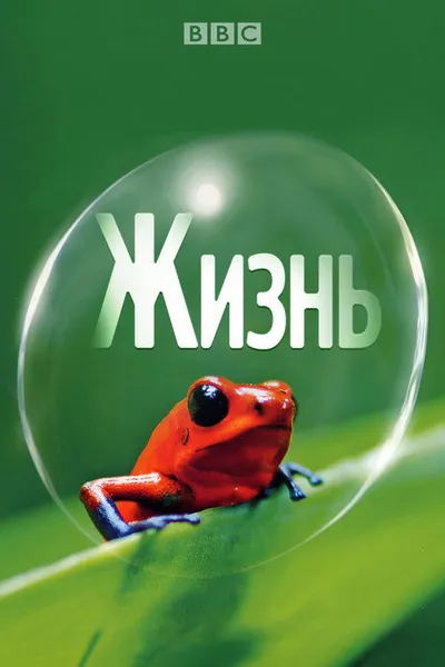 BBC: Жизнь (2009)