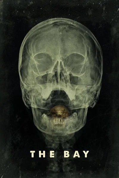 Залив (2012)