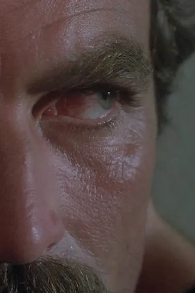 Частный детектив Магнум (1980)