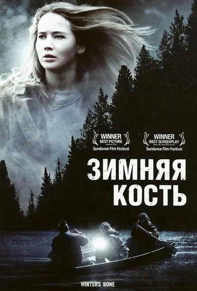 Зимняя кость (2010)