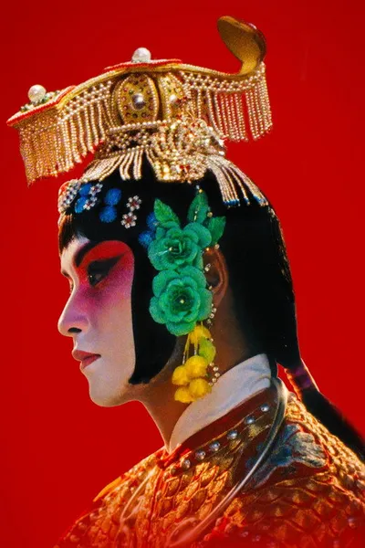 Прощай, моя наложница (1993)