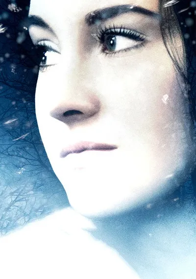 Белая птица в метели (2014)