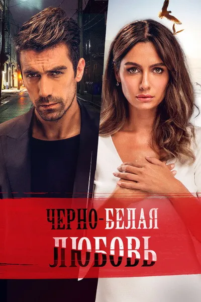 Чёрно-белая любовь (2017)