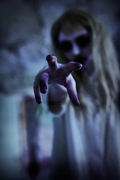 Пугающая кампания (2016)