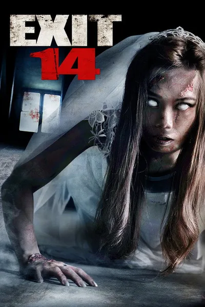 Четырнадцатый выезд (2016)