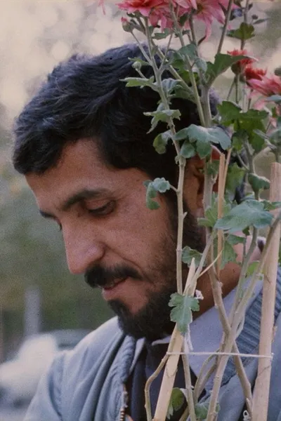 Крупный план (1990)