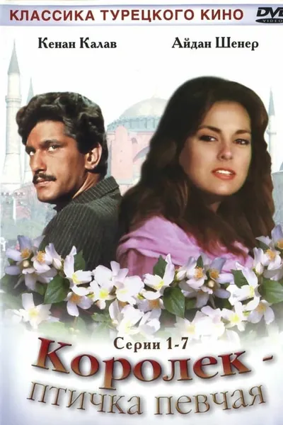 Королёк – птичка певчая (1986)