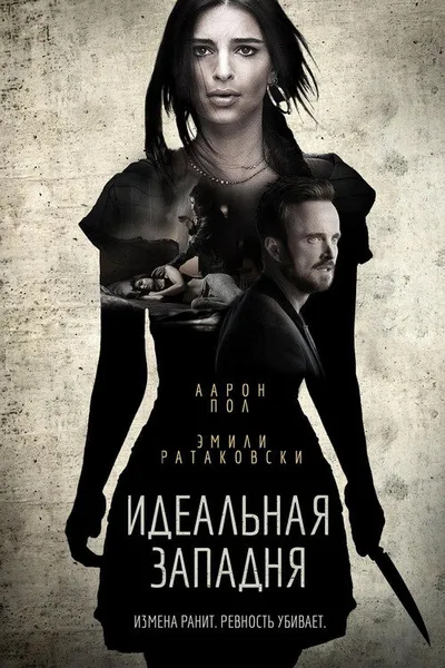 Идеальная западня (2017)