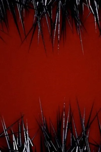 Заноза (2008)