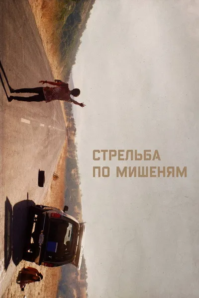 Стрельба по мишеням (2017)