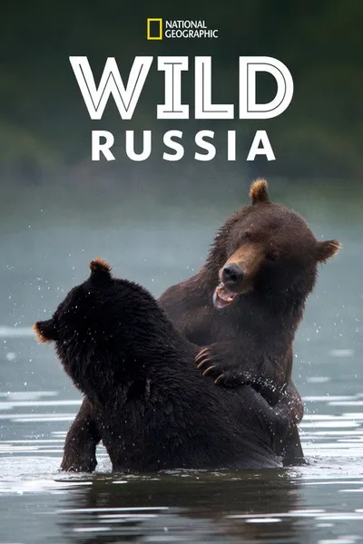Дикая природа России (2008)