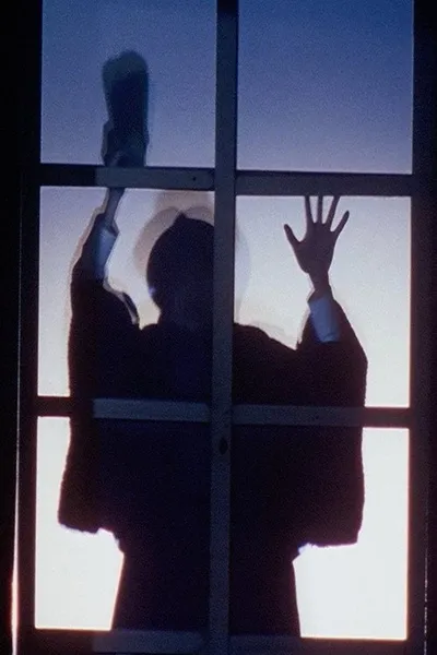 Близнецы (1999)