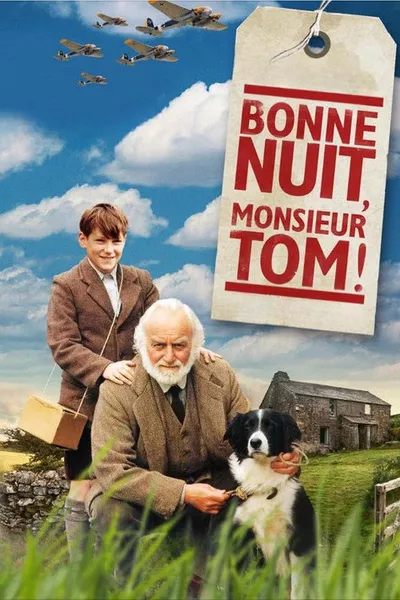 Спокойной ночи, мистер Том (1998)