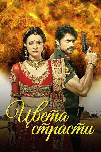 Цвета страсти (2013)