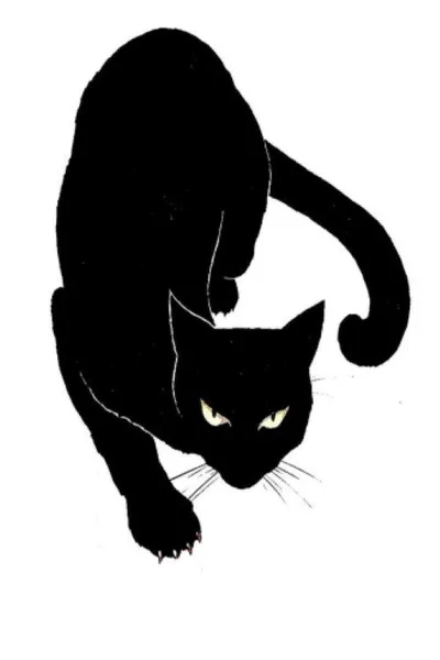 Чёрный кот (1981)