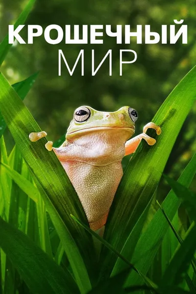 Крошечный мир (2020)