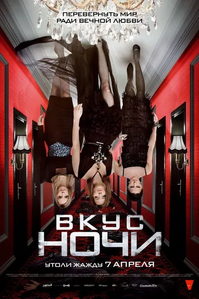 Вкус ночи (2010)