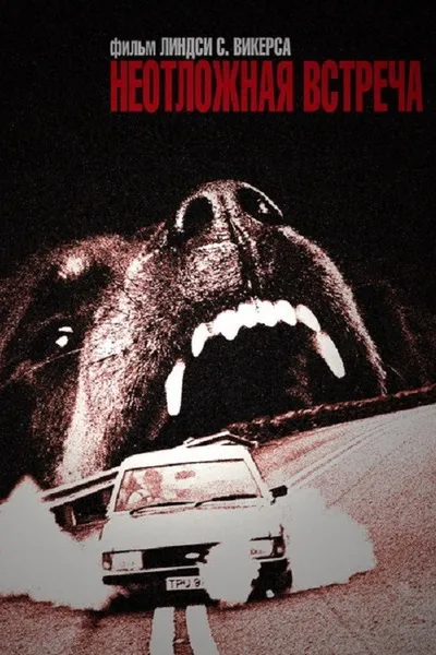 Назначение (1982)