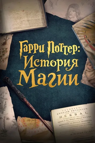 Гарри Поттер: История магии (2017)