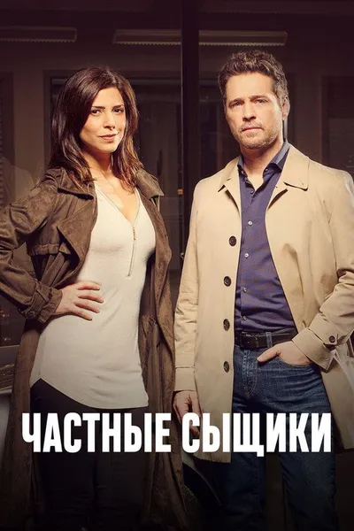Частные сыщики (2016)