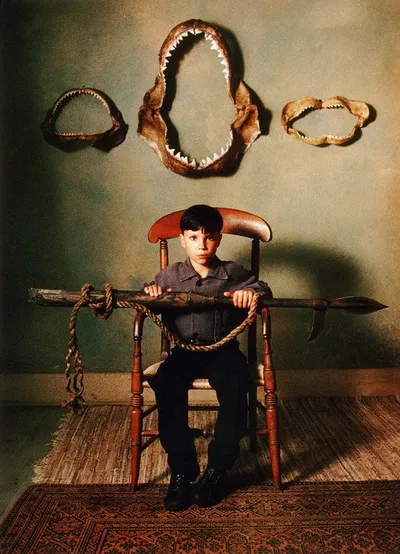 Отражающая кожа (1990)