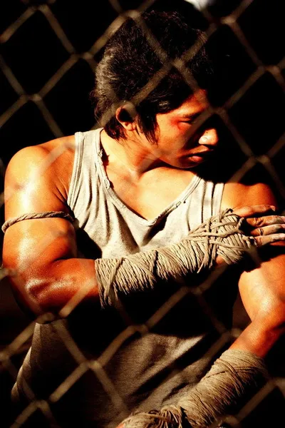 Шаровая молния (2009)