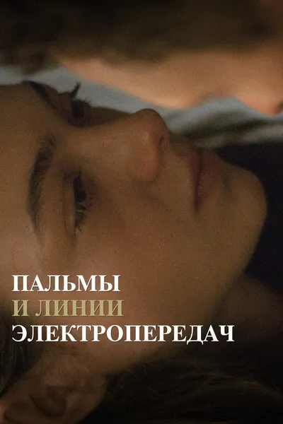 Пальмы и линии электропередач (2022)