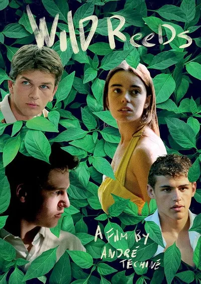 Дикий тростник (1994)