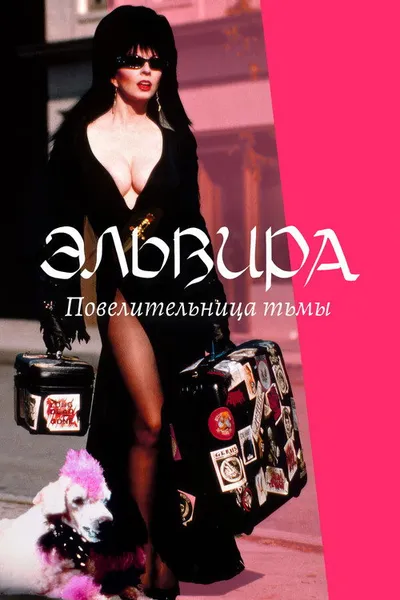 Эльвира: Повелительница тьмы (1988)
