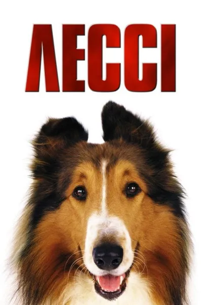 Судьба в твоих руках (2005)
