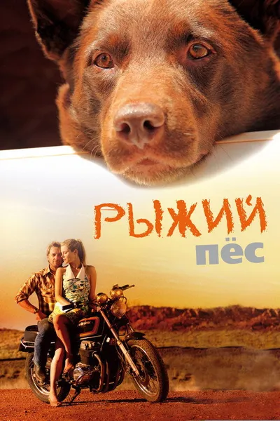 Рыжий пес (2011)
