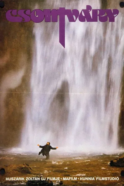 Чонтвари (1980)